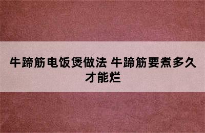 牛蹄筋电饭煲做法 牛蹄筋要煮多久才能烂